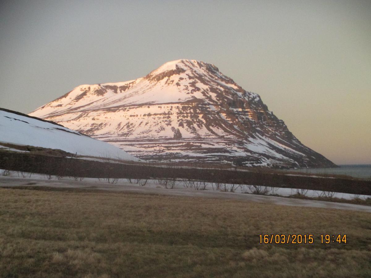 Smyrill Cottages Þórshöfn エクステリア 写真